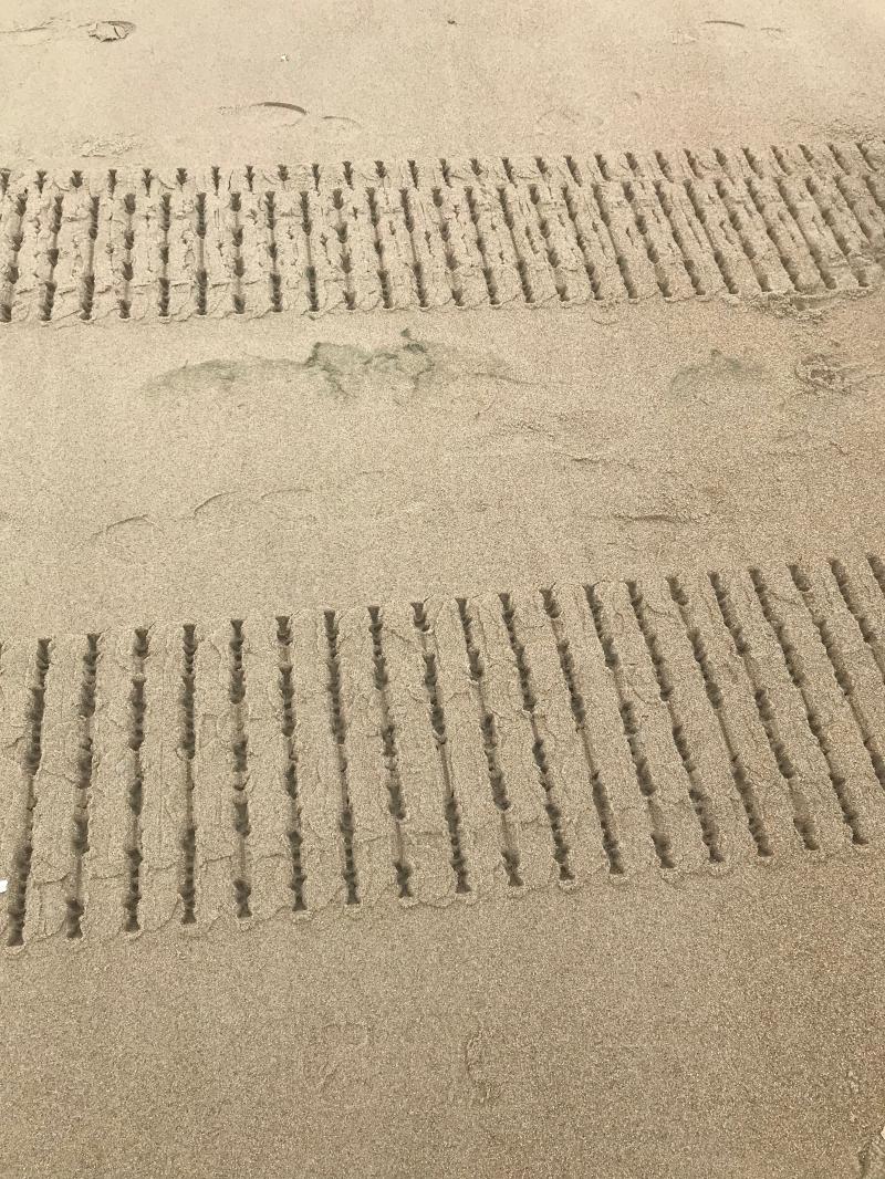 Tracked impressions left in the sand by a C2-I Engineering crawler crossing a coastal survey line